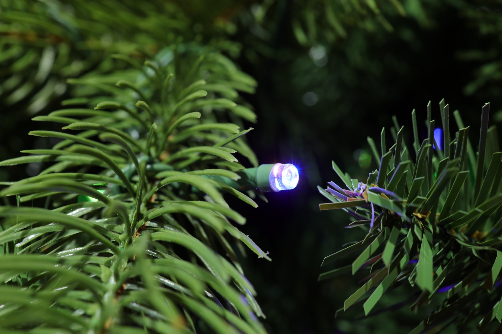 Luzes de Natal