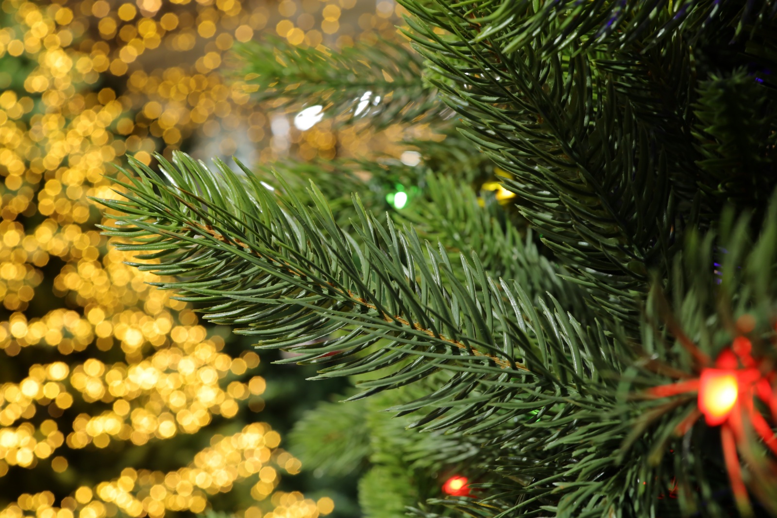 Luzes de Natal