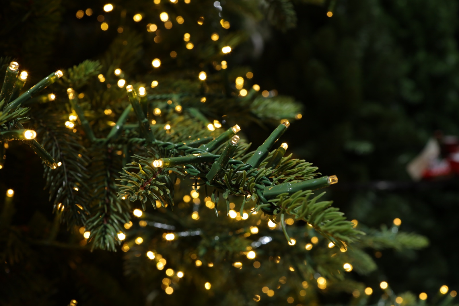 Luzes de Natal